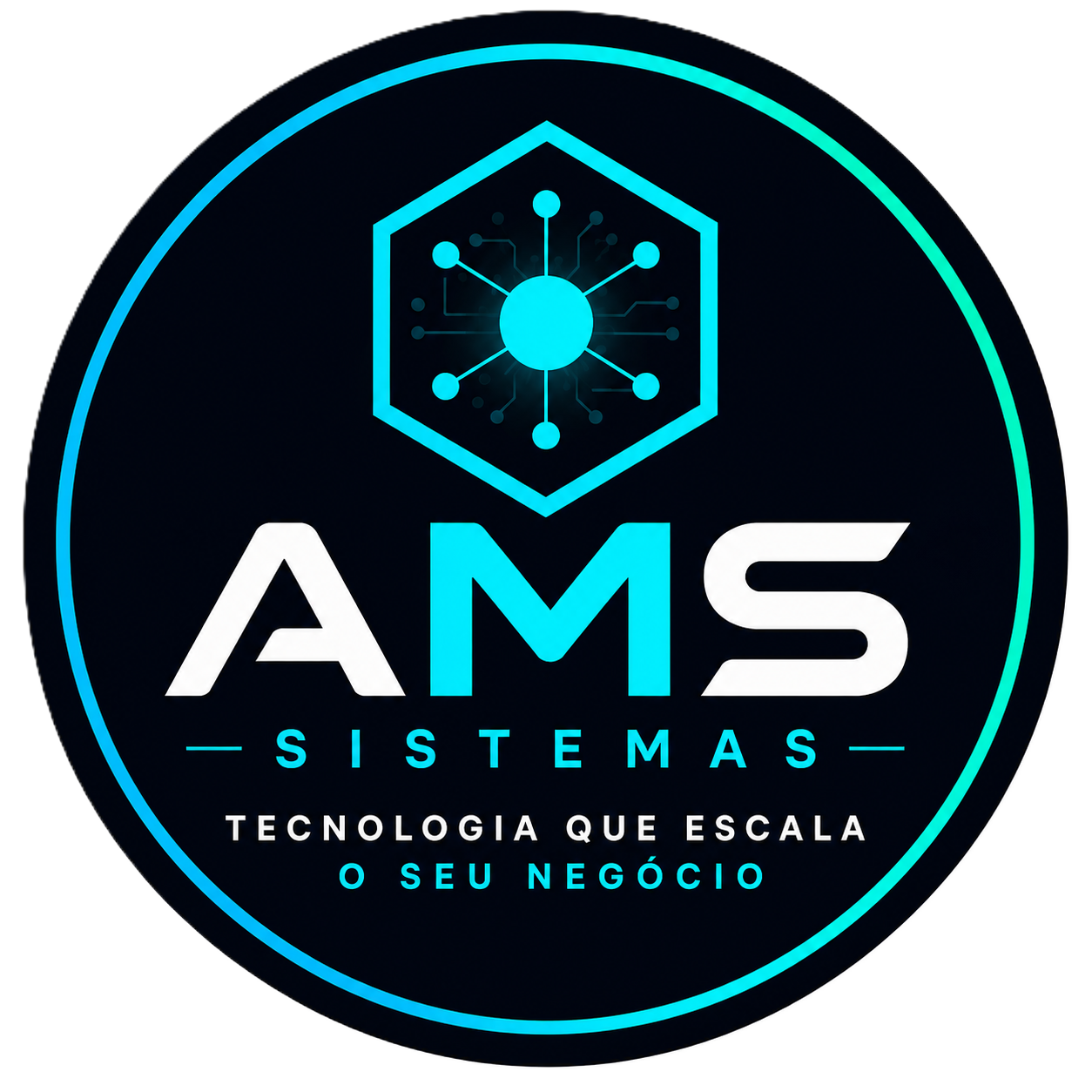 AMS Sistemas
